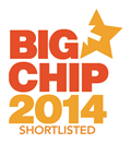 Big Chip Award 2014 Logo Web Design