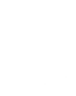 NML Logo Web